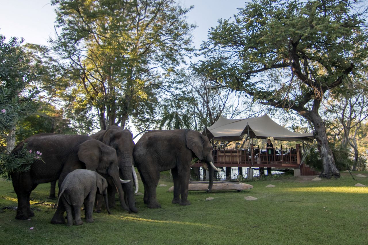 Elephant Cafe Lunch