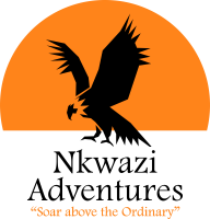 Logo – Nkwazi Adventures 200px