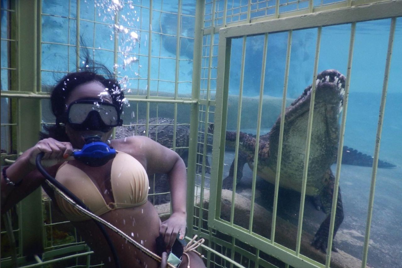 Croc Cage Diving